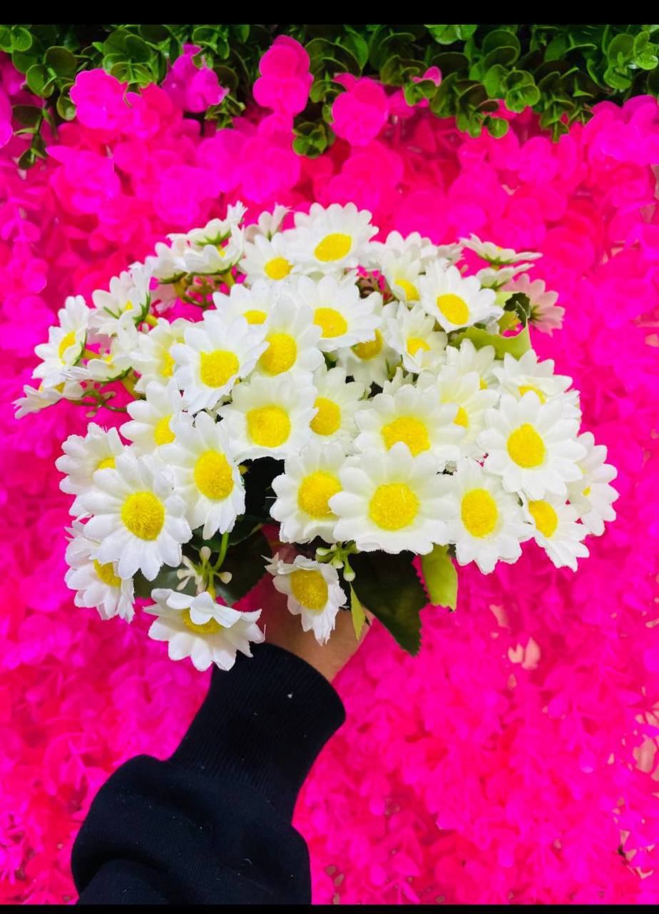 بوته گل بابونه وارداتی ۱۵گل ۵بازو