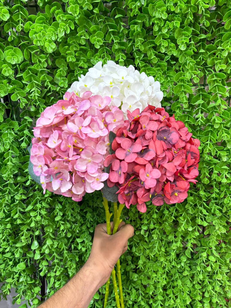 ارتفاع ۸۰سانت