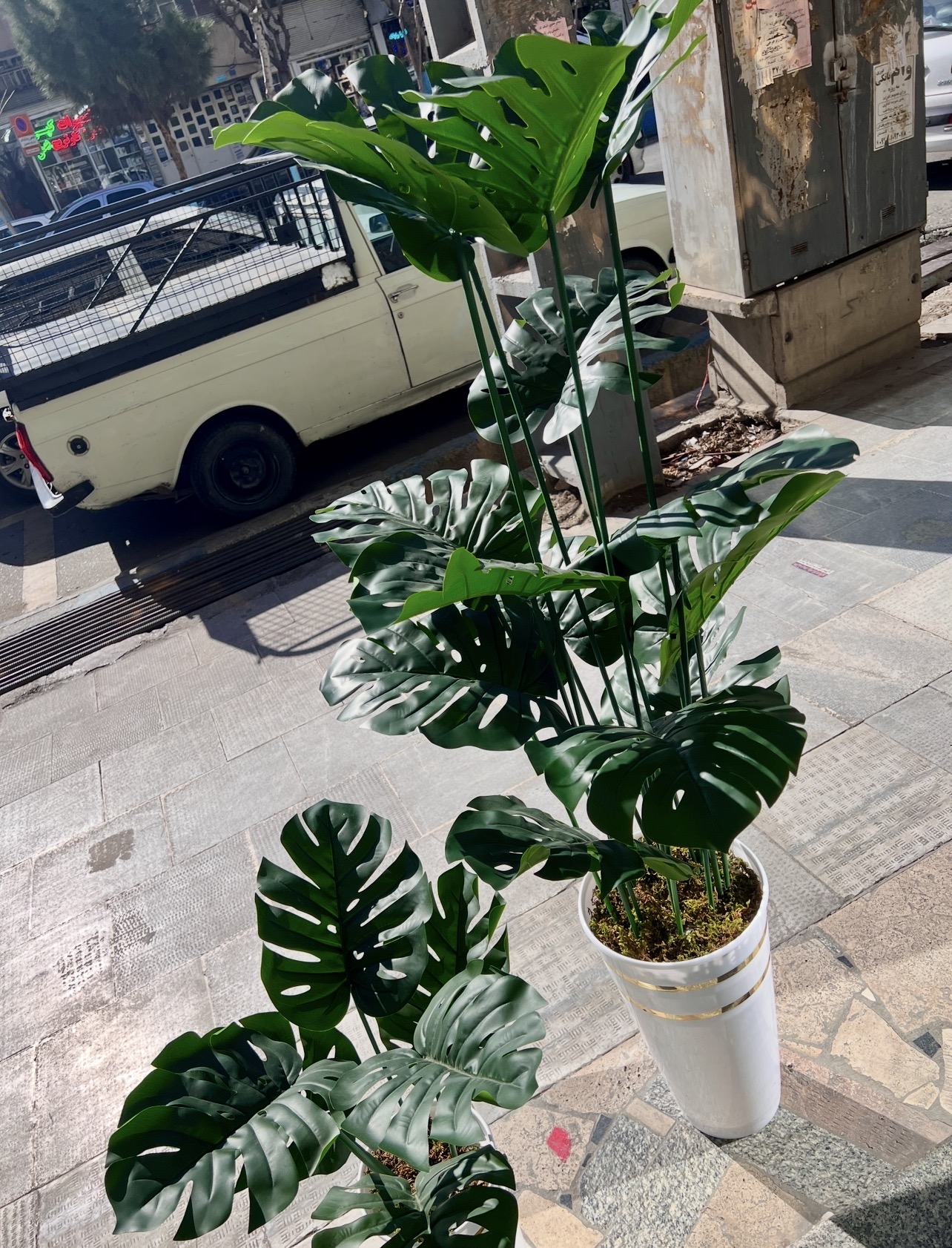 درختچه برگ انجیری مصنوعی وارداتی