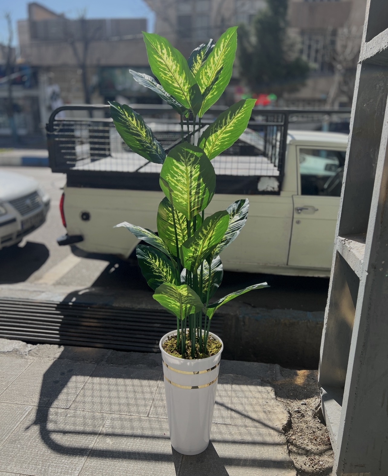 درختچه دیفن باخیا مصنوعی وارداتی با گلدان