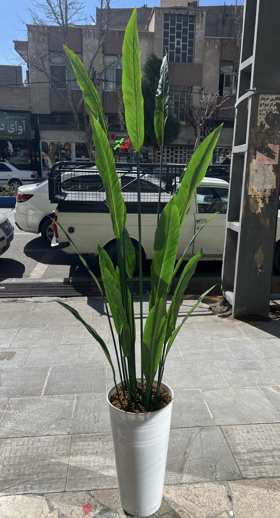 درختچه مصنوعی ابایی/دراسنا وارداتی با گلدان