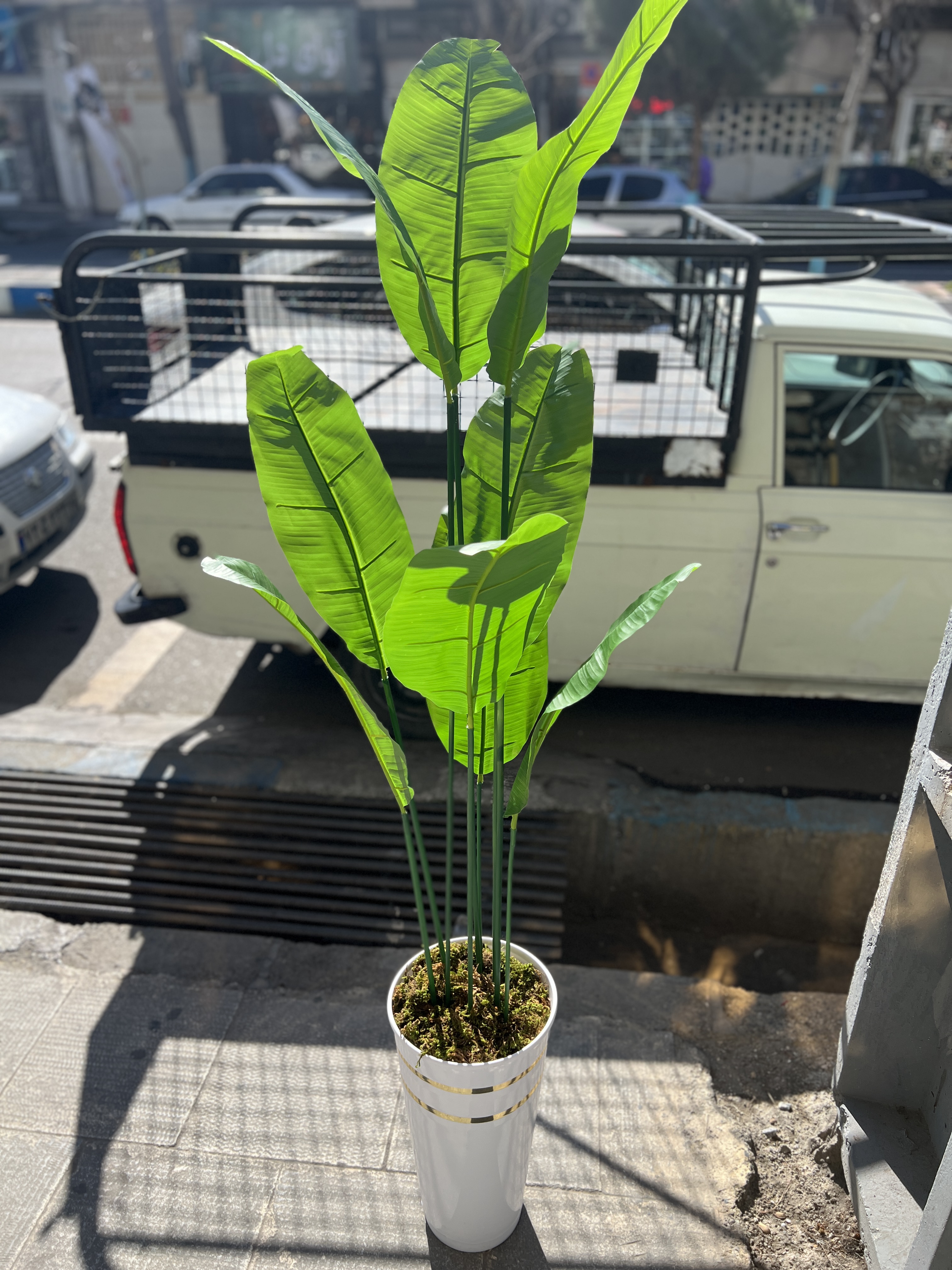 درختچه موز مصنوعی وارداتی با گلدان